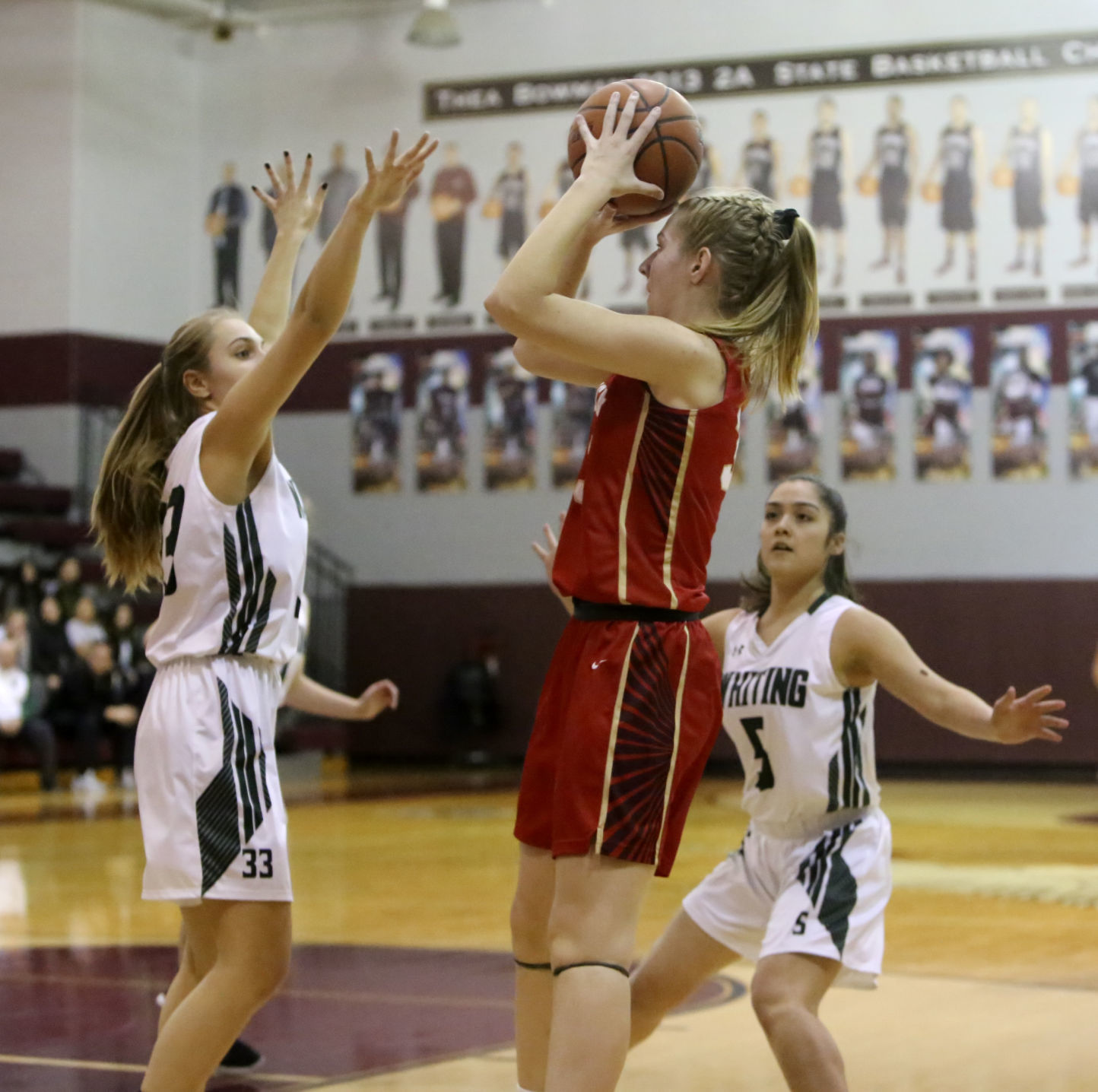 Julia Schutz, Andrean, basketball